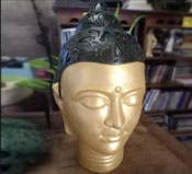 another version of budha 2